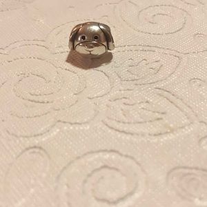 Pandora charm